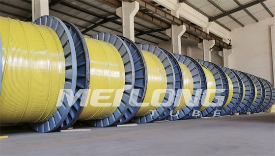 UNS S32750 Encapsulated Control Line Super Duplex 2507 Rilsan Nylon