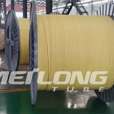 TP316L PVDF محصور شده با خط کنترل مسطح با دو لوله فشار بالا