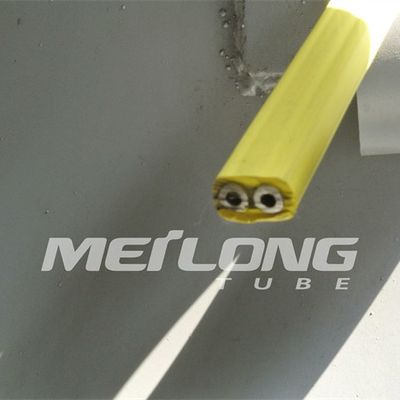 TP316L PVDF محصور شده با خط کنترل مسطح با دو لوله فشار بالا